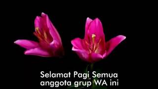 Download lagu SELAMAT PAGI GRUP WA mp3