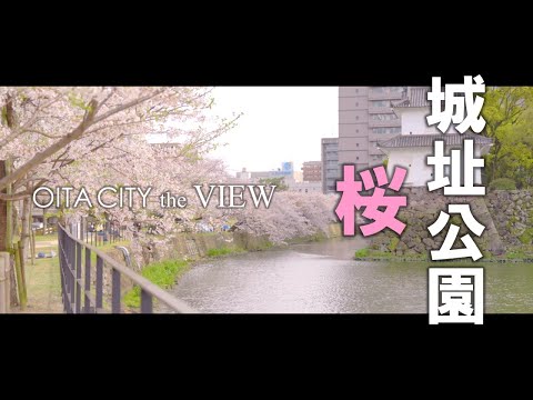 【OITA CITY -the VIEW-】大分城址公園の桜（4K)