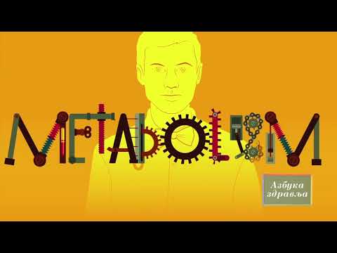 Azbuka zdravlja 85 -  dr Stanislava Živković, spec. int. medicine i endokrinolog (endokrini sistem)