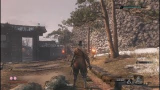 野犬の弾き方「SEKIRO」