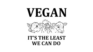 Update from That Vegan Couple