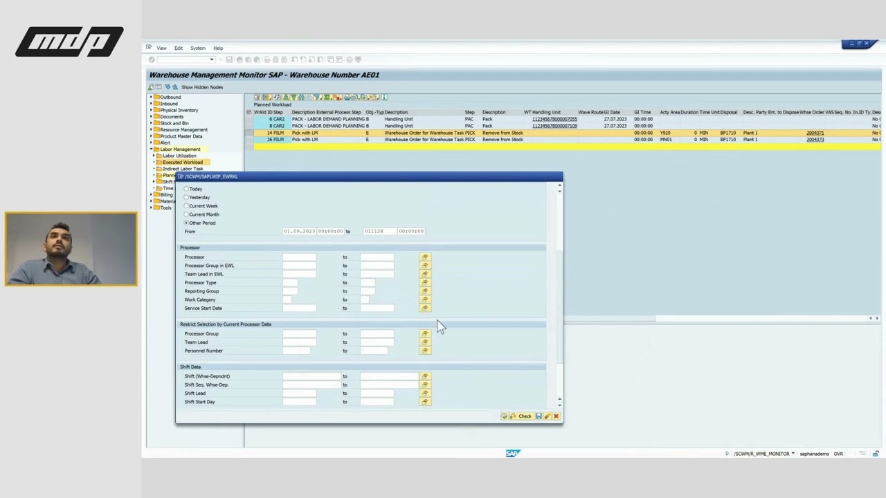Labor Management in Warehouse Management Monitor | SAP EWM