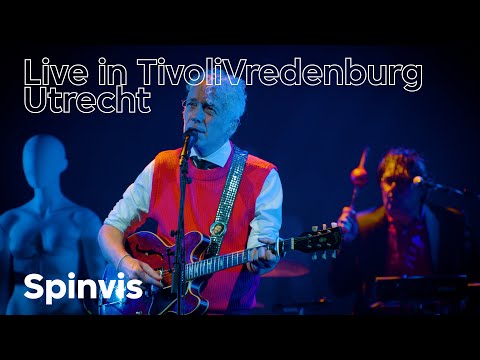 Spinvis live in TivoliVredenburg, Utrecht (4k)