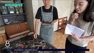 [G1뉴스] 침체된 명파마을..예술 작품으로 활력