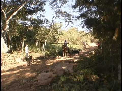 Las rutas de soboce - Coroico