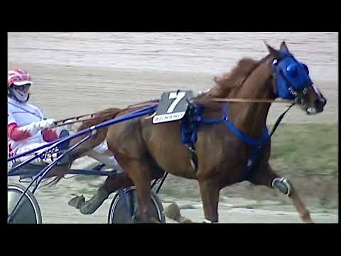 Napoli Trotto 28/01/2022 - 5ª corsa