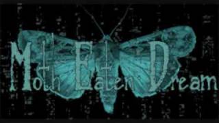 Moth Eaten Dream - Withered