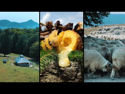 [4K] 🤠🌄AVENTURĂ PRIN MUNȚI, 🚙OFF-ROAD PÂNĂ LA @STRÂMTU 🐑STÂNA PĂRĂSITĂ + 🌽BULZ TRADIȚIONAL AUTENTIC