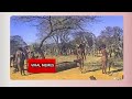 Impande Yezintombi 2024 Zedube Abangoni Sonkepeople Viralmemes