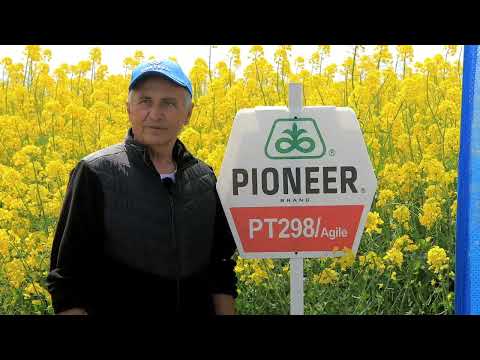 Testimonial Andrei Constantin - BOGDANDRA -  despre hibridul de rapita PT298