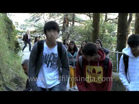 download lagu mp3 mp4 Oldest Boarding School, download lagu Oldest Boarding School gratis, unduh video klip Oldest Boarding School
