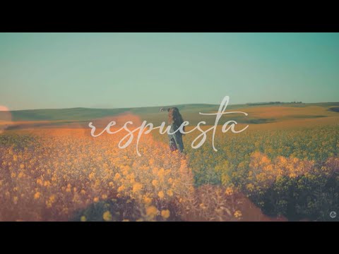 Respuesta - Ministério AdorART