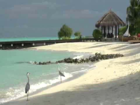 A personal tour of the island with Mr.Girish Sehgal - General Manager