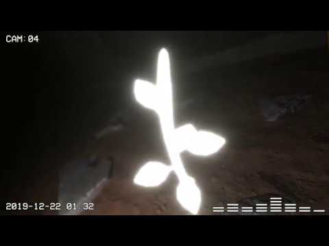 THUGWIDOW X VVV - 'Чорнобиль' / 'A Godless People' (OFFICIAL VIDEO)