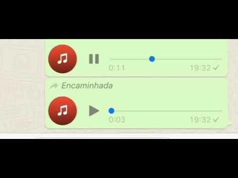 Áudio Whatsapp - "Eu te conheço nessa poha!?"