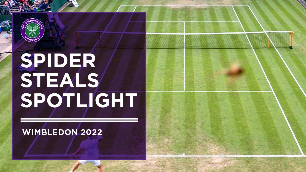 Spider Steals Wimbledon Spotlight | Wimbledon 2022