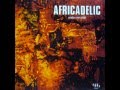 Manu Dibango - Africadelic Thême nº 3 (Afro Beat 12/8)