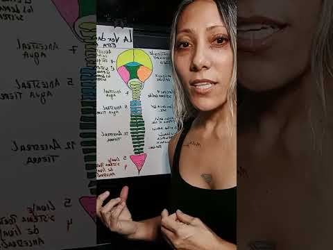 P. 3 / Video 2 Immaculate Conception ❤️