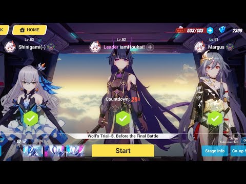 Herrscher of Reason, Sentience, and Thunder Co-op Raid in Wolf's Trial Divine Key - HI3