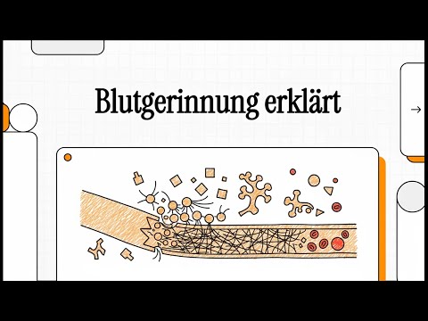 Blutgerinnung erklärt | EINFACH ERKLÄRT