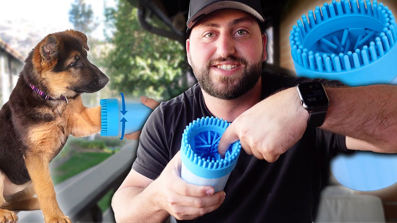 Dog Paw Cleaner Review