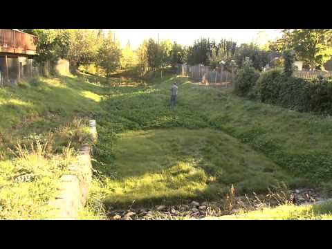 Stormwater management: the basics