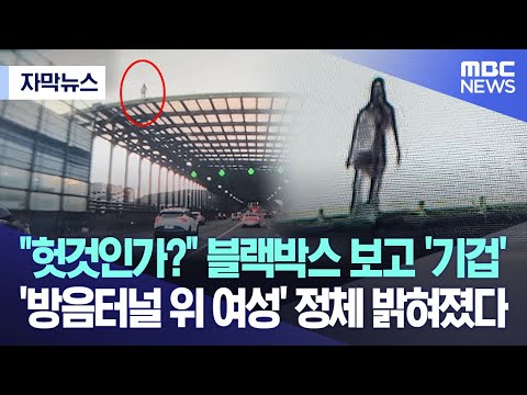 [유튜브] '방음터널 위 여성' 정체 밝혀졌다
