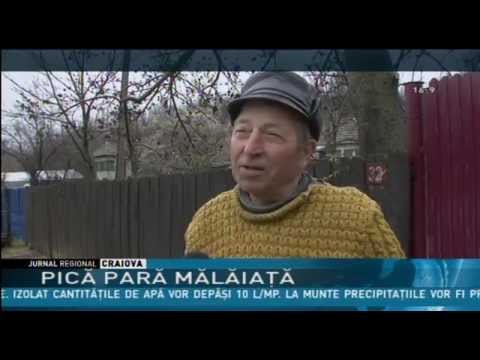 Pică pară mălăiaţă....