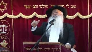 האמונה שבהסתר | קטעים קצרים | הרב דניאל זר