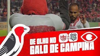 DE OLHO NO GALO DE CAMPINA - CRB X FIGUEIRENSE