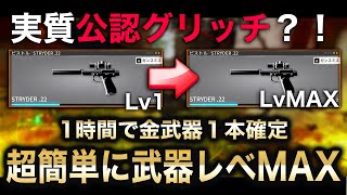 実質公認グリッチｗｗ １時間で金武器１本、超簡単に武器レベMAXになる裏ワザがエグすぎてパッチ不可避 [BO6]
