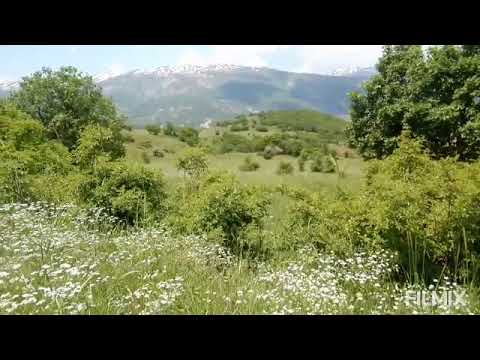 Dengbej Mey Sesi çok güzel