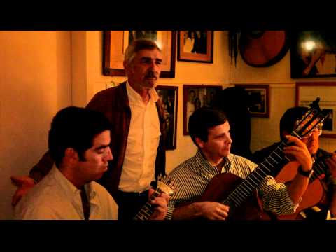 José Luís Vacas de Carvalho, "Fado Vitória" - "Alentejo"