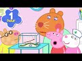 What Do Vets Do Pig Full Episodes 1 Hour Of Kids Cartoons