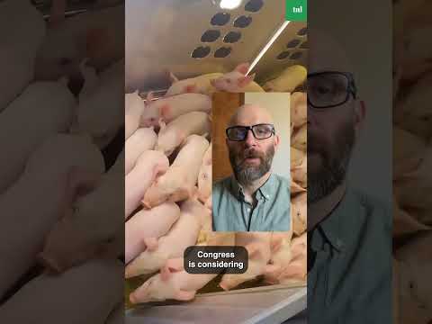 WATCH: Inside the campaign to overturn state animal welfare laws