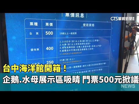 台中海洋館開箱！企鵝.水母展示區吸睛　門票500元掀議