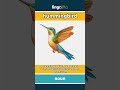 hummingbird - a tiny bird that flaps its... video thumbnail