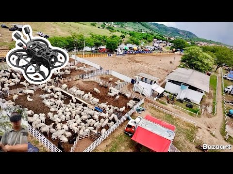 VAQUEJADA AO VIVO EM INGÁ-PARAÍBA