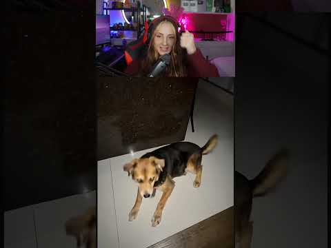 Alemã reage ao Caiox - essa musica fez minha cachorra dançar 😂
