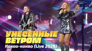 Унесённые ветром - Какао-какао (Live Video, 2026) @MELOMAN-HIT