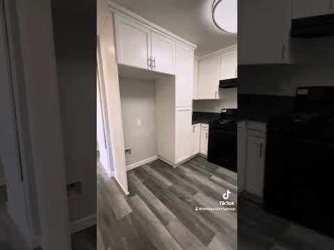 BF9316 (PALM)-TA2 (RUBS) - Video 2 of 2