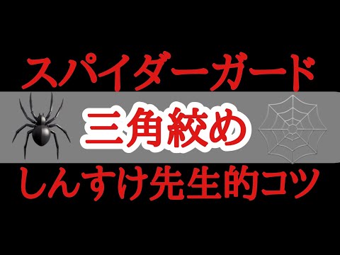 【しんすけ先生】スパイダーガード〜三角絞めコツ①