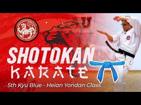 Shotokan Karate -  5th Kyu Blue Belt -  Heian Yondan Class thumbnail
