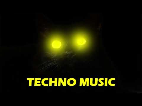 Trippy Cat Techno Mix 2022 February