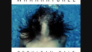 Waxahatchee - Peace and Quiet