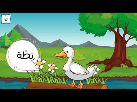 Let's learn the letter ب Baa with Bnan and Bassam#arabic #arabiclanguage
