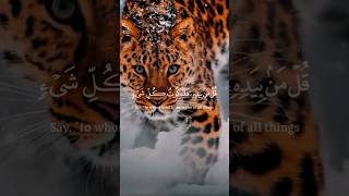 Download lagu Muminun 84-91 | Qul limanil ardu wa man feehaaa in kuntum talamoon mp3 Download lagu Muminun 84-91 | Qul limanil ardu wa man feehaaa in kuntum talamoon mp3