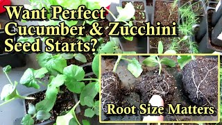 When to Start & How to Seed Zucchini & Cucumbers Indoors:  Timing, Containers, &  Root Size Matter!