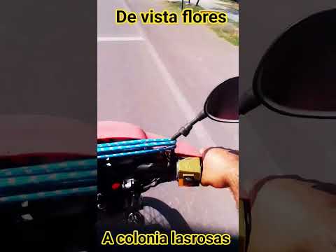 de vista flores a colonia las rosas