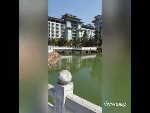 My Heart Will Go On Cover by Christabella Audrey 1